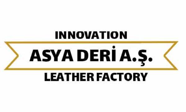 İzmir Karşıyaka GO Dijital Web Tasarım ve Dijital Ajans